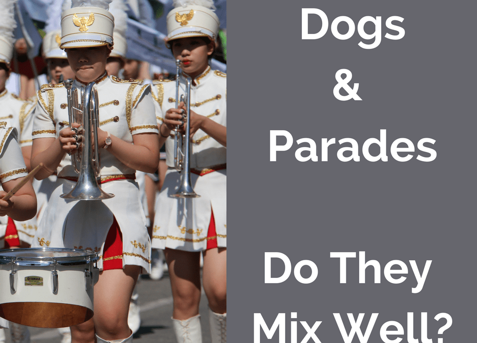 Parades and Festivals for Socialization